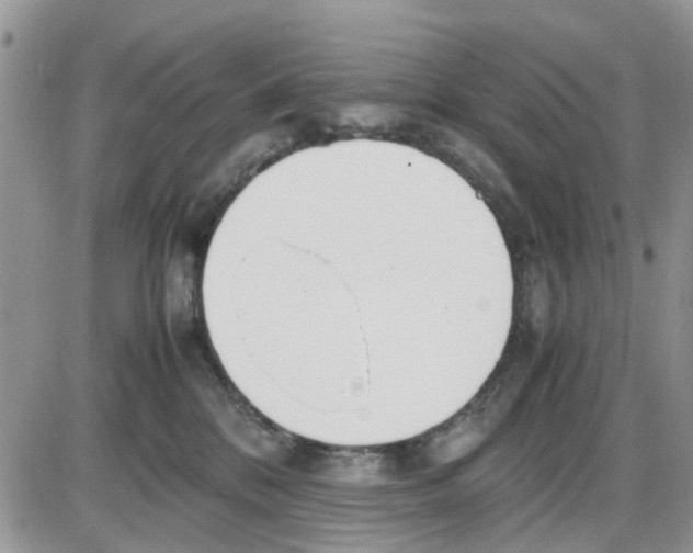 X0000086040328200704202017