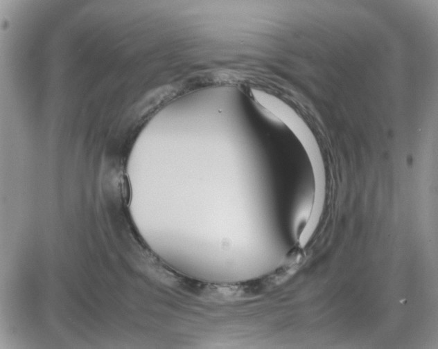 X0000086040329200704202017