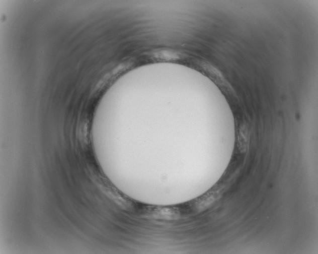 X0000086040330200704202017