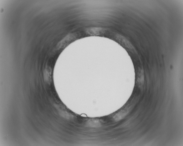 X0000086040332200704202017