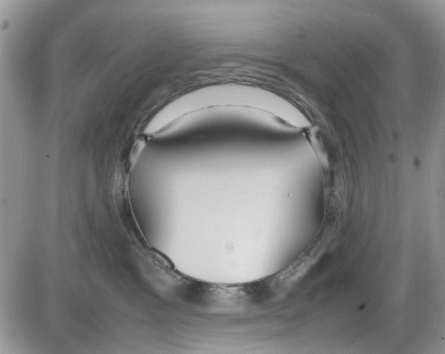 X0000086040333200704202017