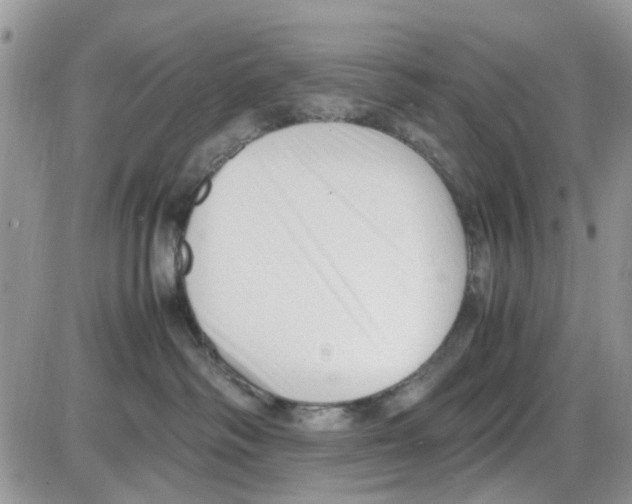 X0000086040334200704202017