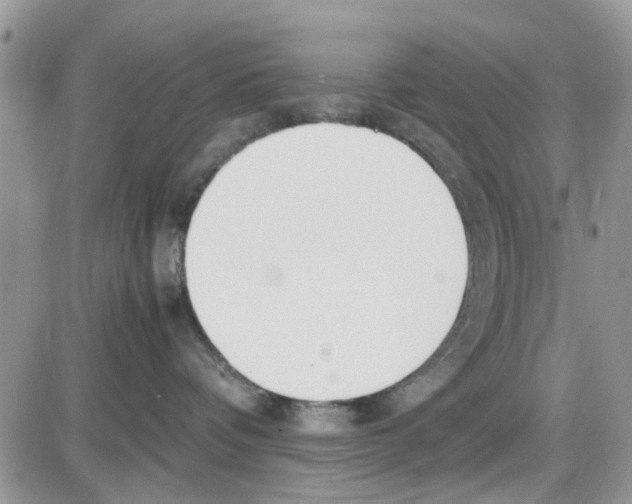 X0000086040336200704202017