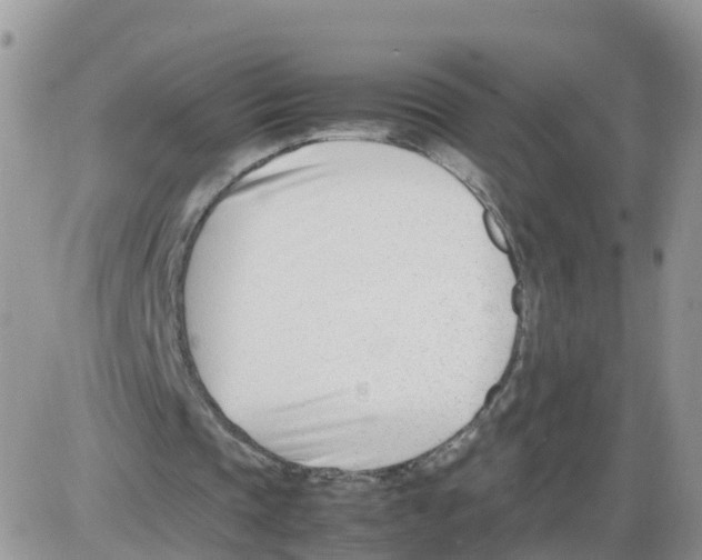 X0000086040337200704202016