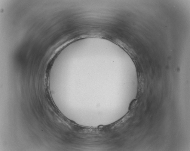 X0000086040338200704202016