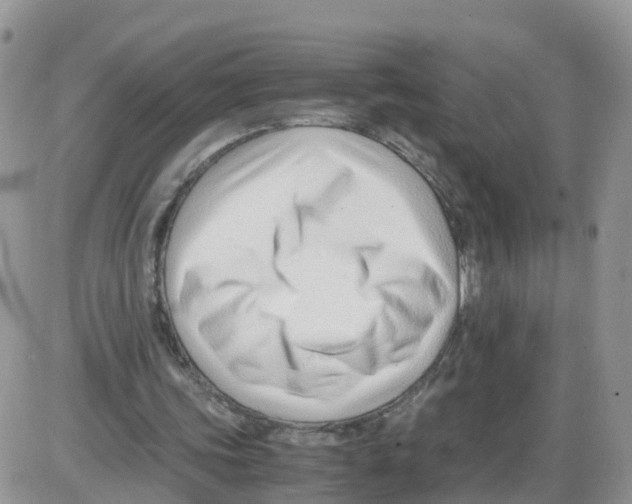 X0000086040339200704202016