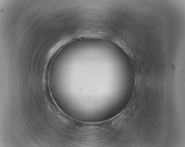 X0000086040340200704202016