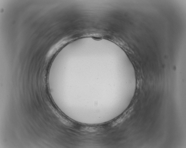 X0000086040341200704202016