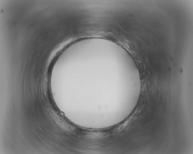 X0000086040342200704202016