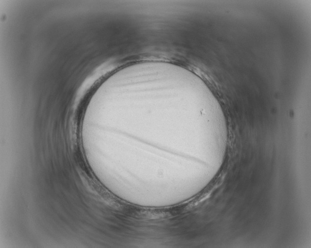 X0000086040343200704202016