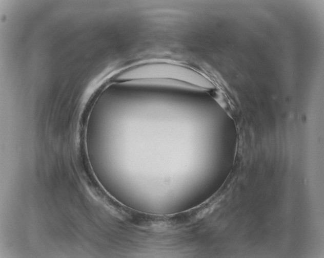 X0000086040344200704202016