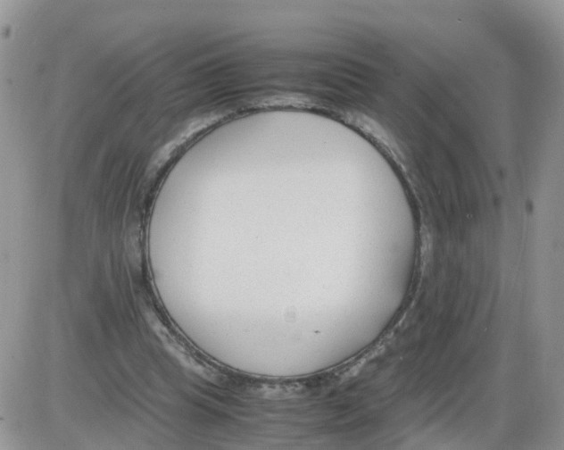 X0000086040345200704202016