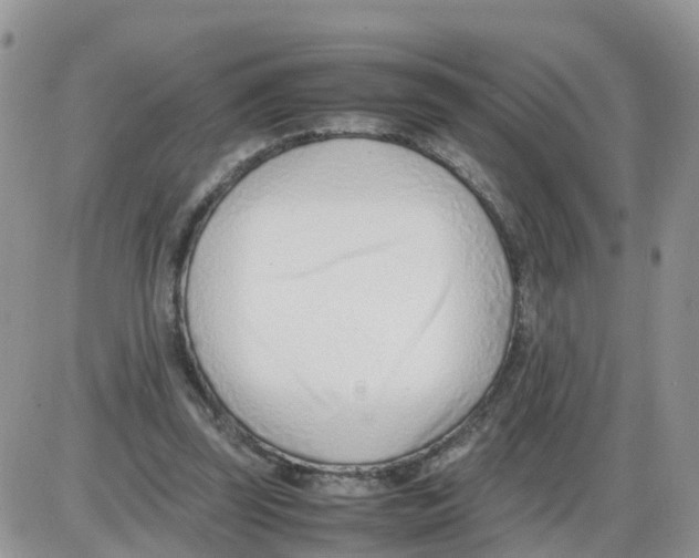 X0000086040347200704202016