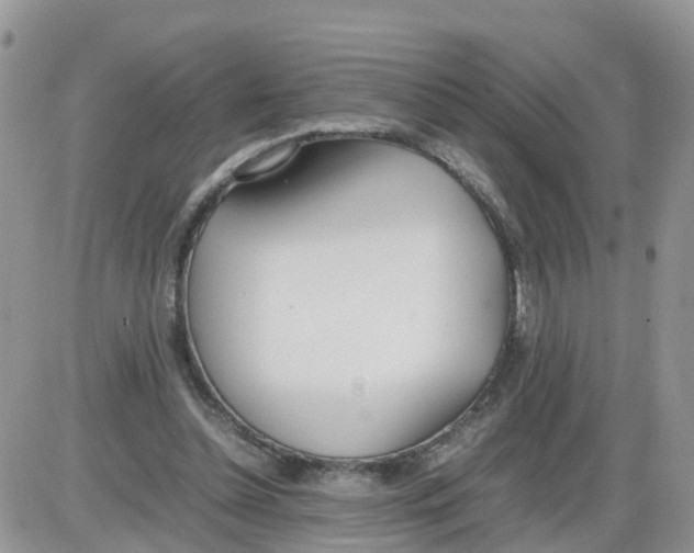 X0000086040348200704202016