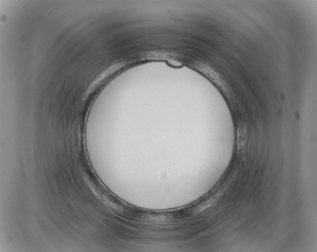 X0000086040349200704202016