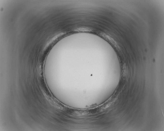 X0000086040351200704202017