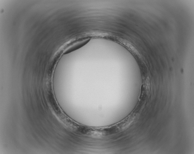 X0000086040352200704202017