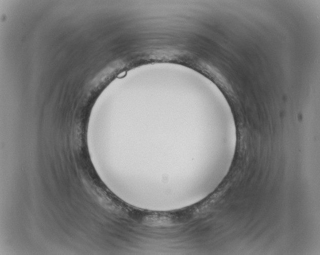 X0000086040354200704202017