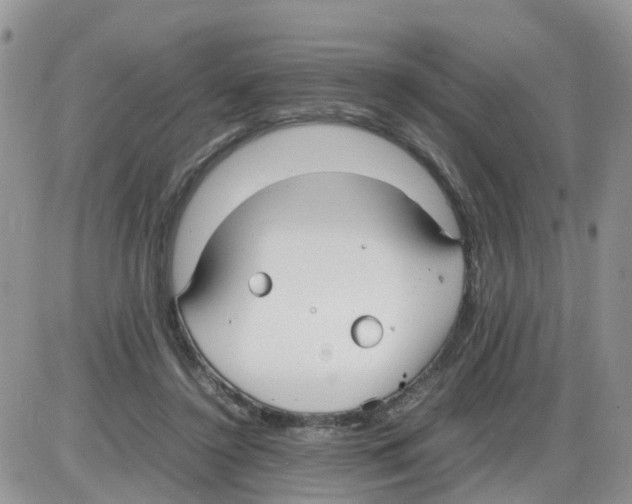 X0000086040356200704202017