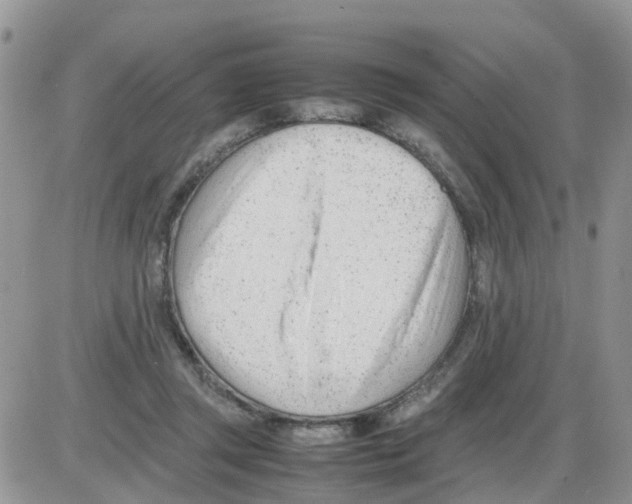 X0000086040357200704202017