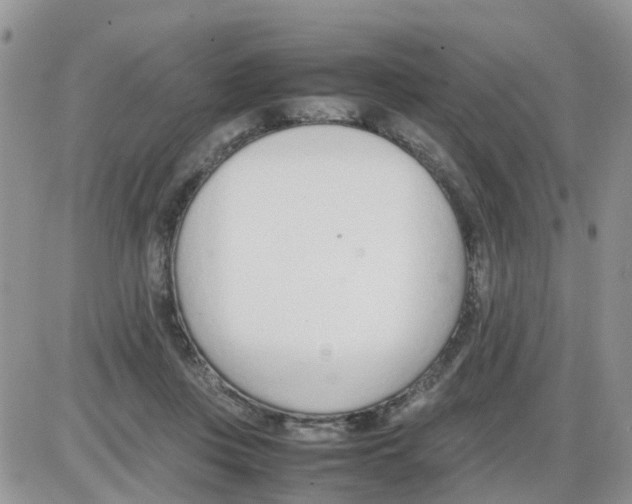 X0000086040359200704202017