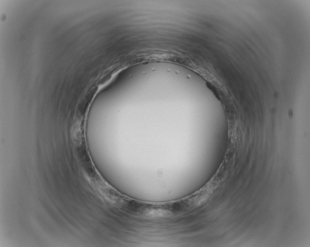 X0000086040360200704202017