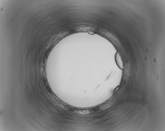 X0000086040361200704202017