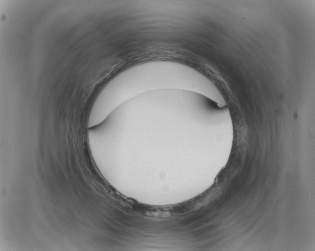 X0000086040362200704202017