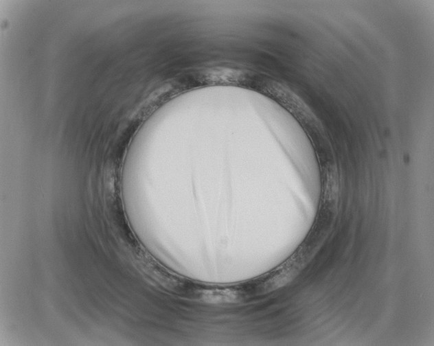 X0000086040363200704202017