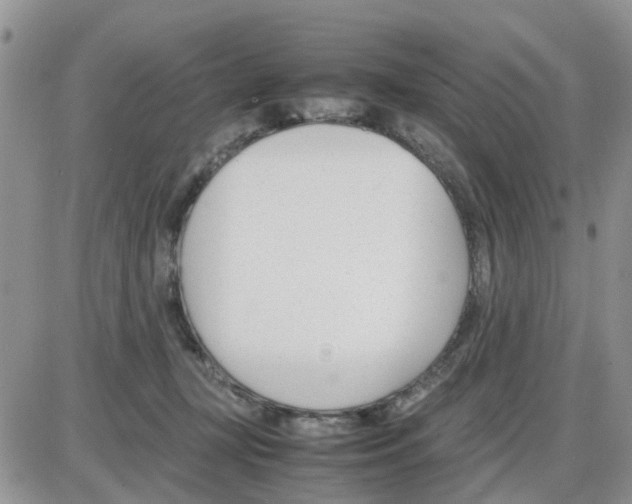 X0000086040367200704202017