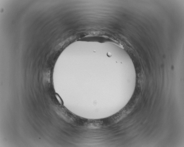 X0000086040368200704202017