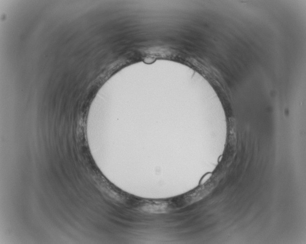 X0000086040369200704202017