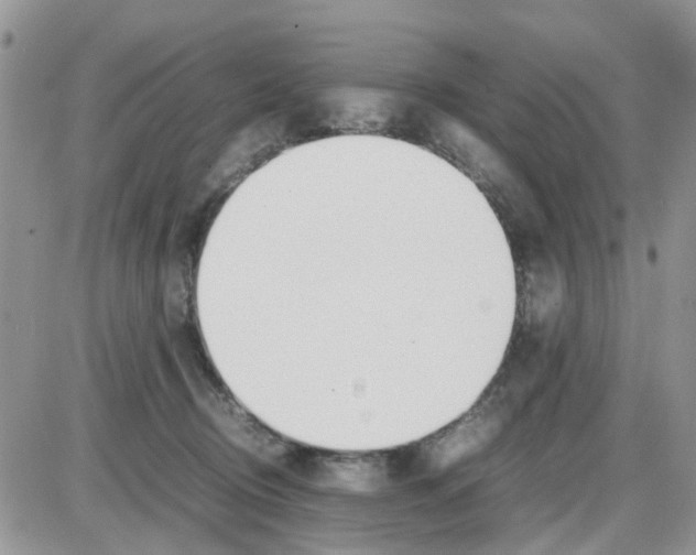 X0000086040370200704202017