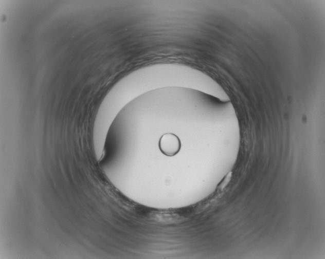 X0000086040372200704202017