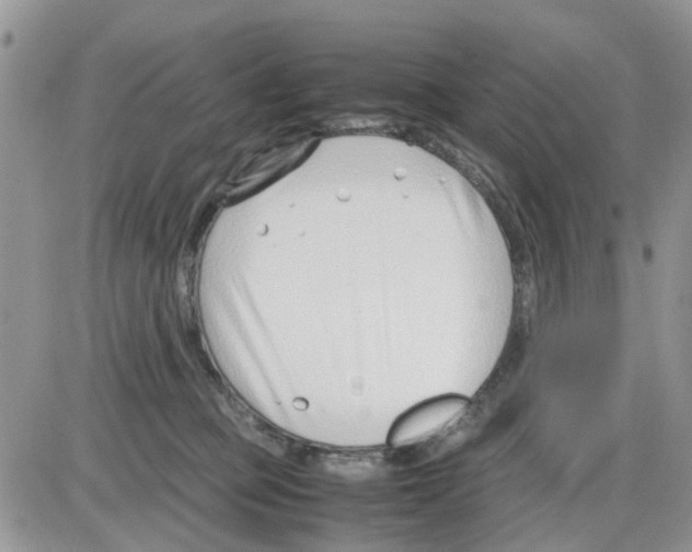 X0000086040373200704202017