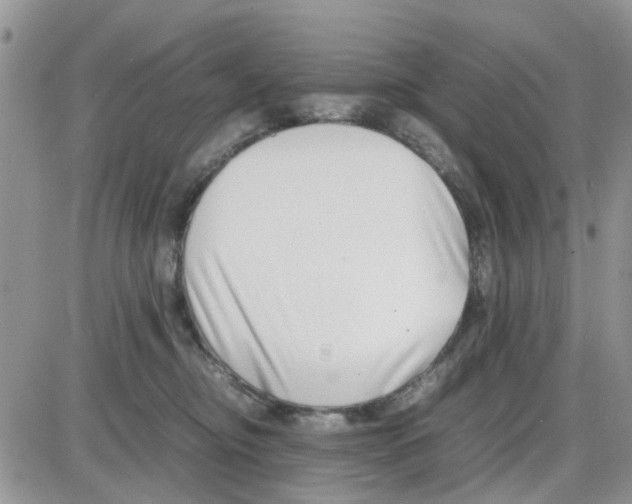 X0000086040374200704202017