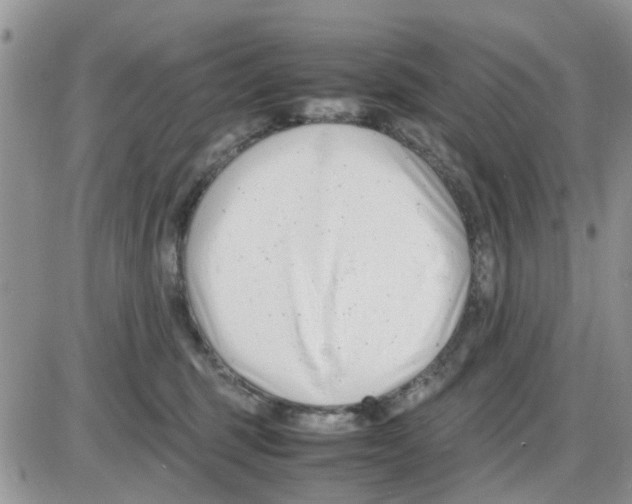 X0000086040375200704202017