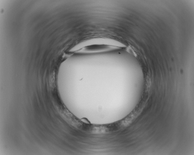 X0000086040376200704202017