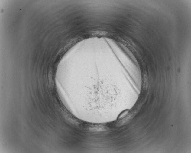 X0000086040377200704202017