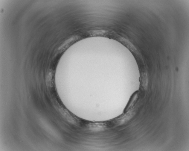 X0000086040378200704202017