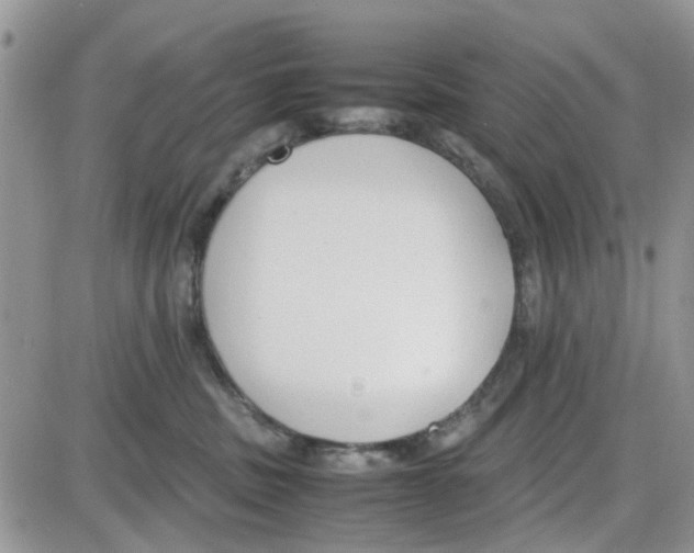 X0000086040379200704202017