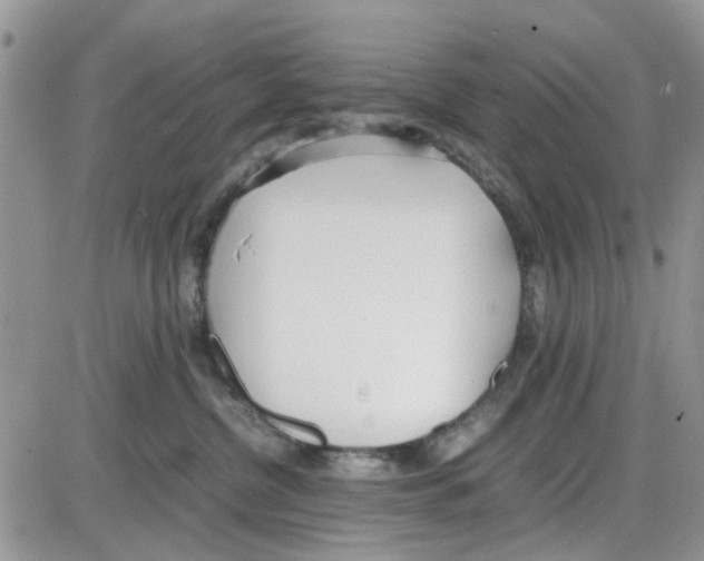 X0000086040380200704202017