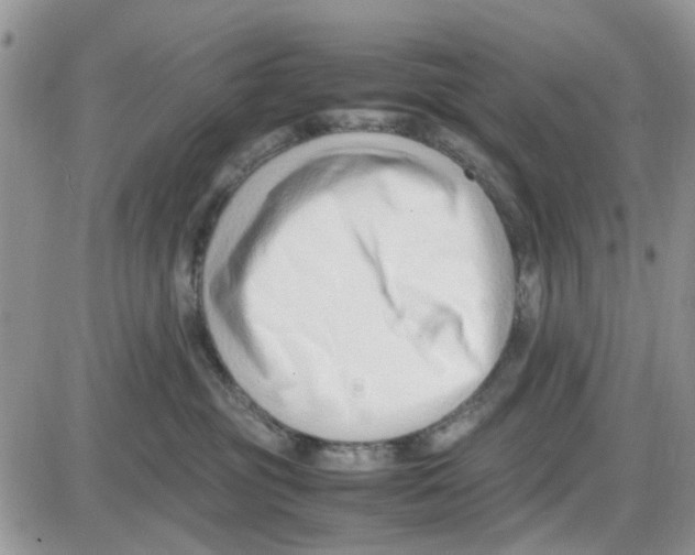 X0000086040381200704202017