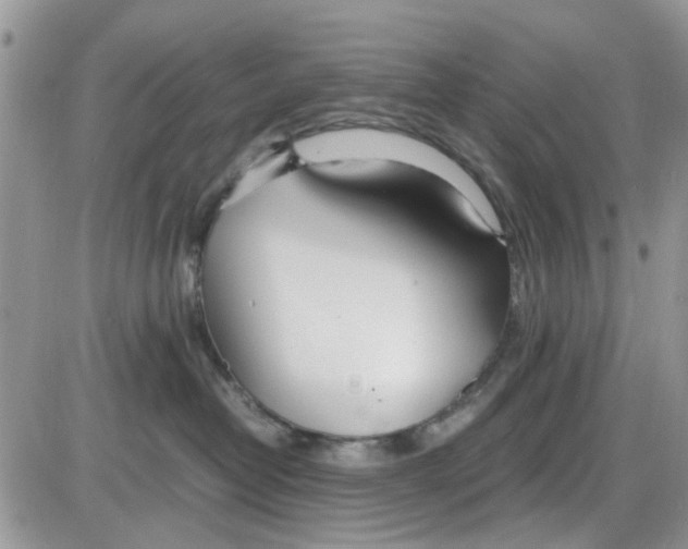 X0000086040382200704202017