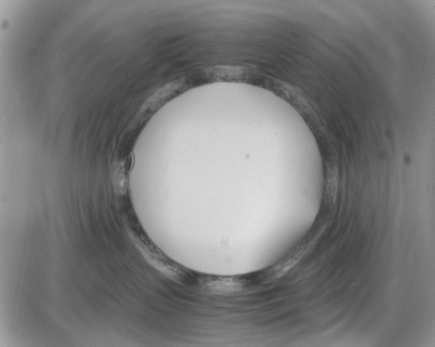 X0000086040383200704202017