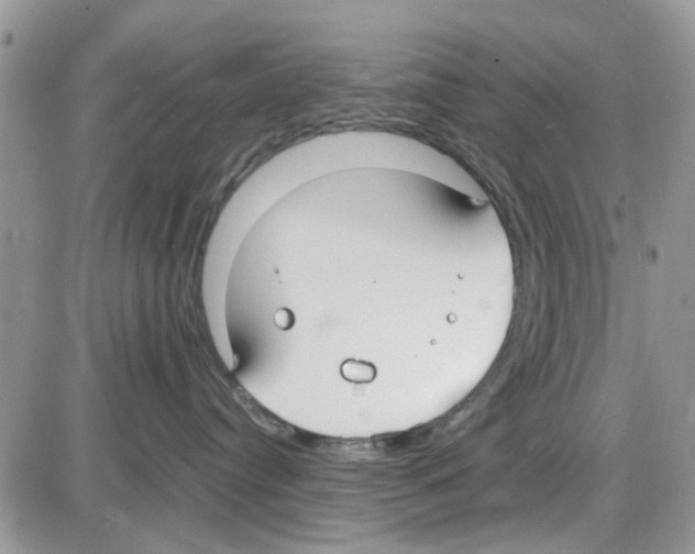 X0000086040384200704202017