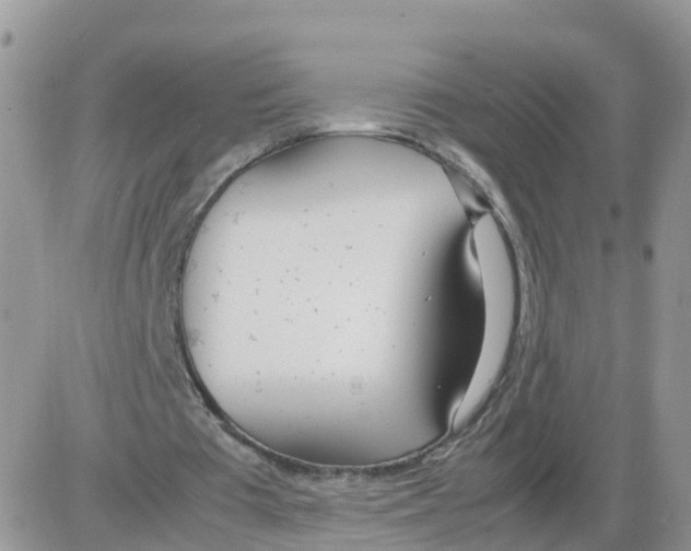 X0000086040385200704202016