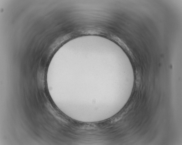 X0000086040386200704202016