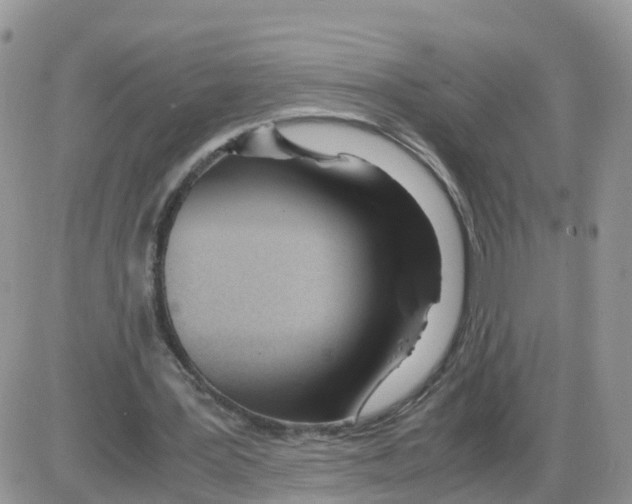 X0000086040387200704202016