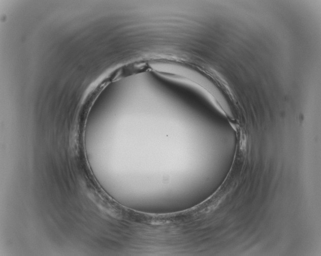 X0000086040388200704202016